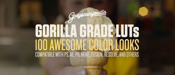 greyscalegorilla gorilla grade luts