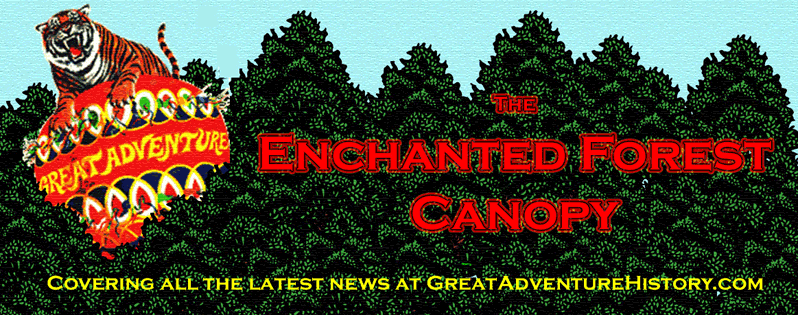 The Enchanted Forest Canopy