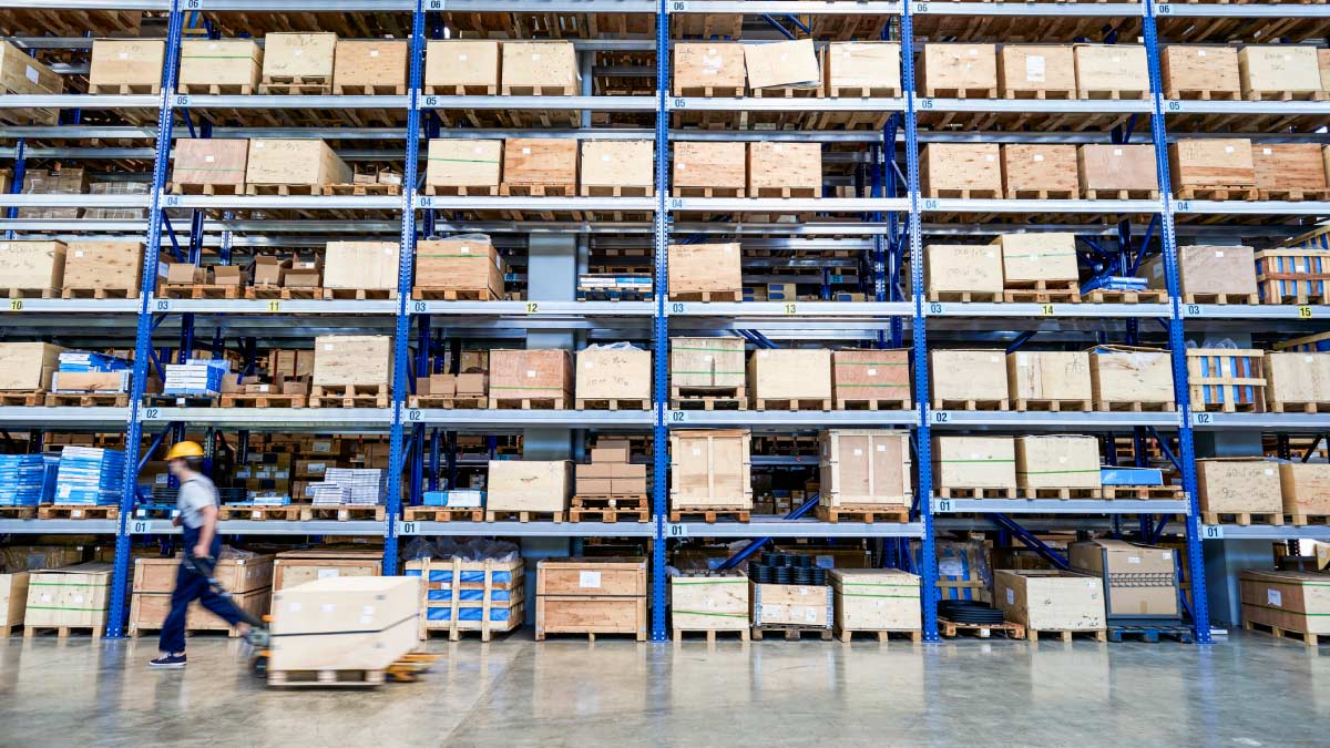 A great ape in foliage