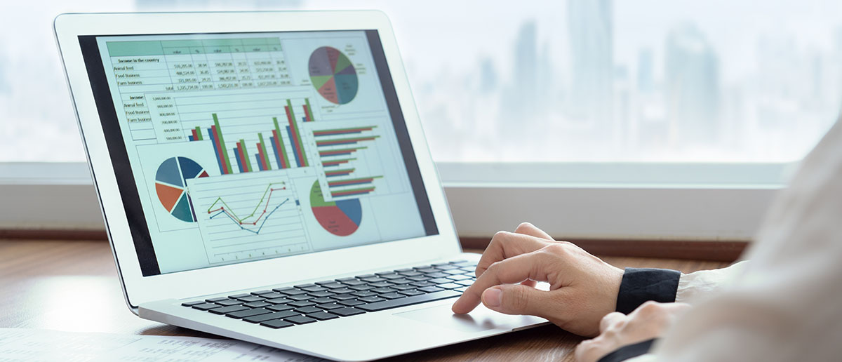 A person looks at graphs and charts on their laptop. 