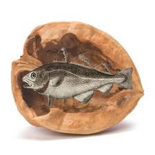 Fish in a Nutshell