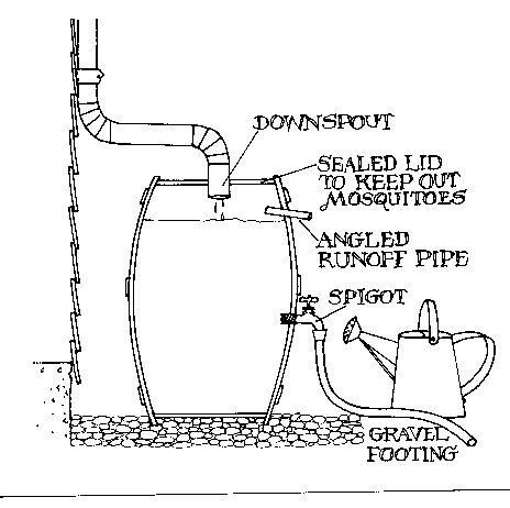 Rain Barrel