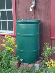 Green Rain Barrel