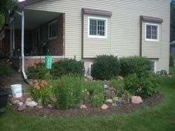 Rain Garden