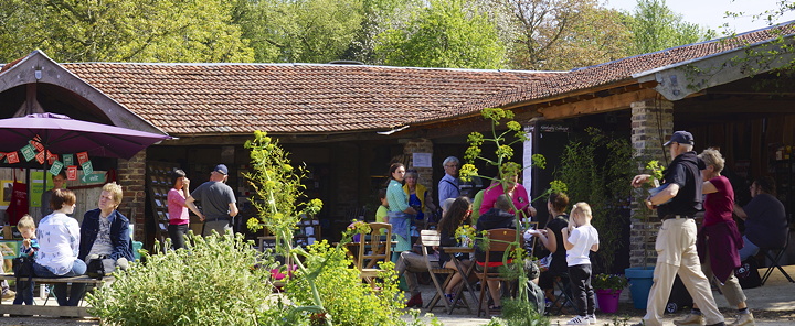 groente en andere planten voor je eetbare tuin