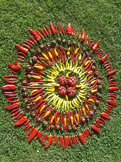mandala van verschillende soorten pepers en paprika's