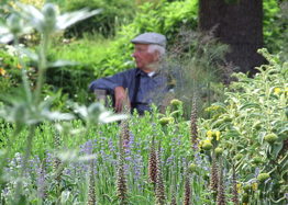 burgemeester Sjaak in de kwekerijtuin