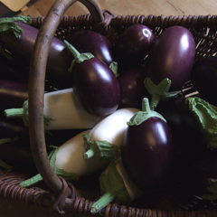 Aubergine is een van onze favoriete groenten, we kweken ze in alle soorten en maten.