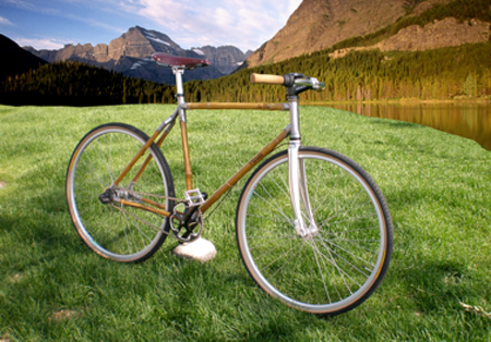 The One Bamboo Bicycle