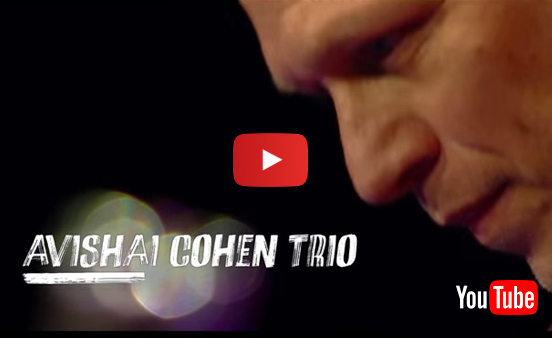 Avishai Cohen Trio Newsletter