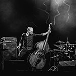 Avishai Cohen Trio Newsletter
