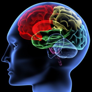 Streaming Consciousness