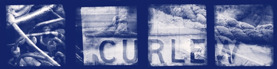 CurlewBanner