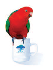 parrot