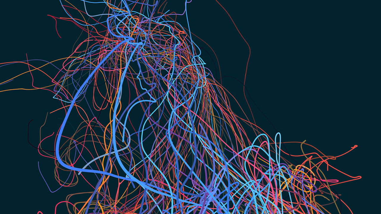 trapcode templates