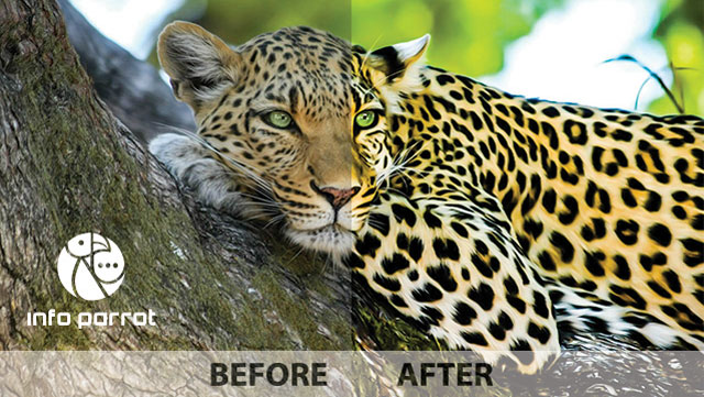 adobe photoshop lightroom presets