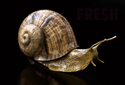 the pixel lab free 3d models