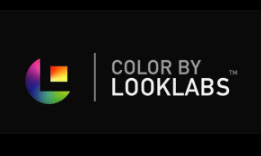 looklabs speedlooks 4