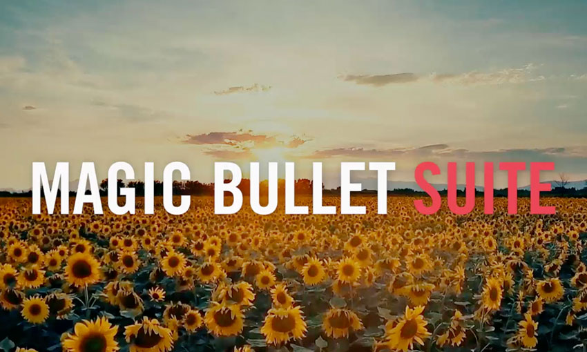 magic bullet suite