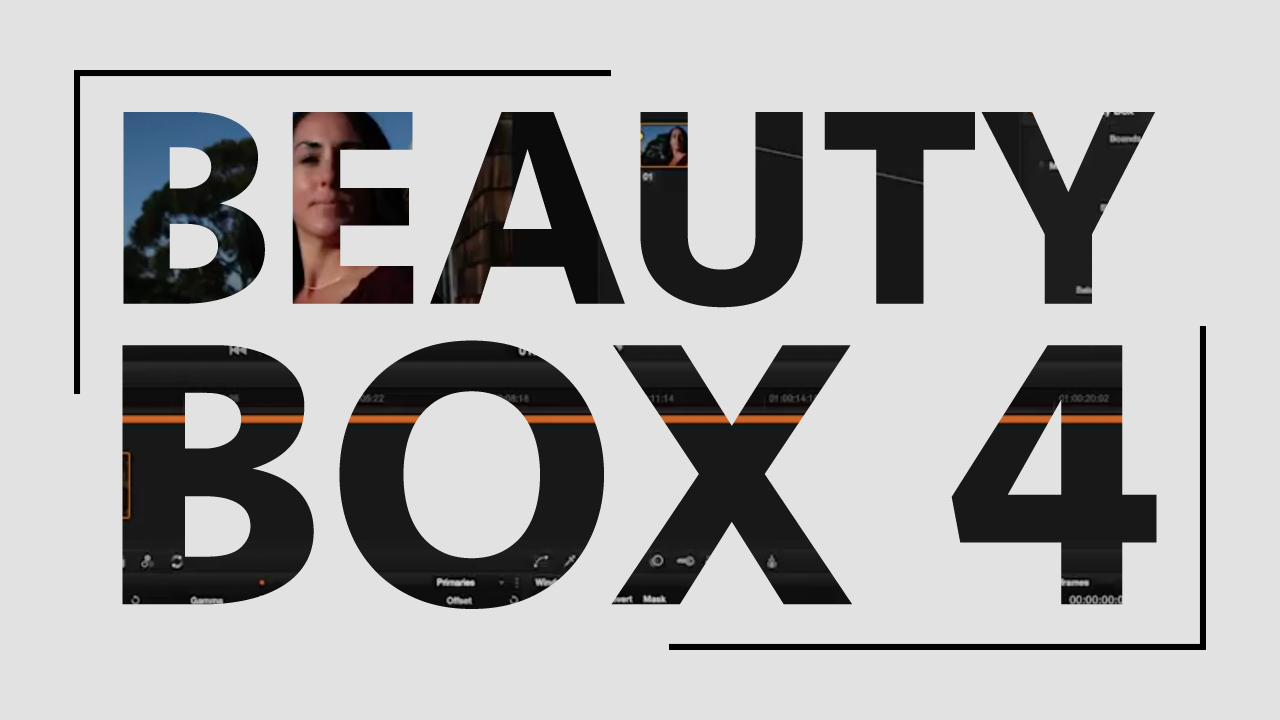 digital anarchy beauty box video