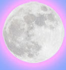 Pale Rose Pale Blue